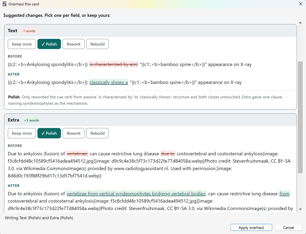 The Overhaul window, showing the Text and Extra fields with the original and the proposed rewrite side by side as a highlighted diff, four options along the top (Keep mine, Polish, Rework, Rebuild), and an Apply overhaul button.